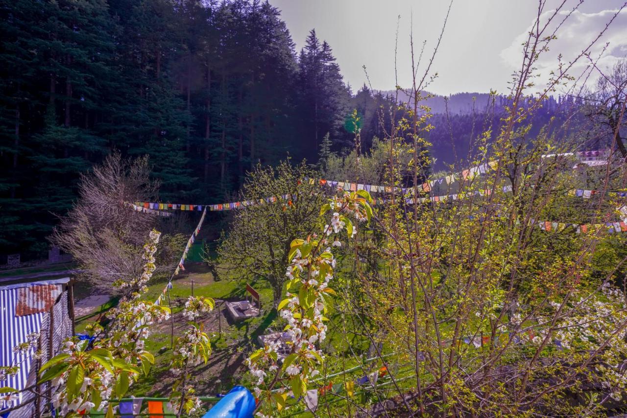 Rama'S Green Forest Manāli Exterior foto